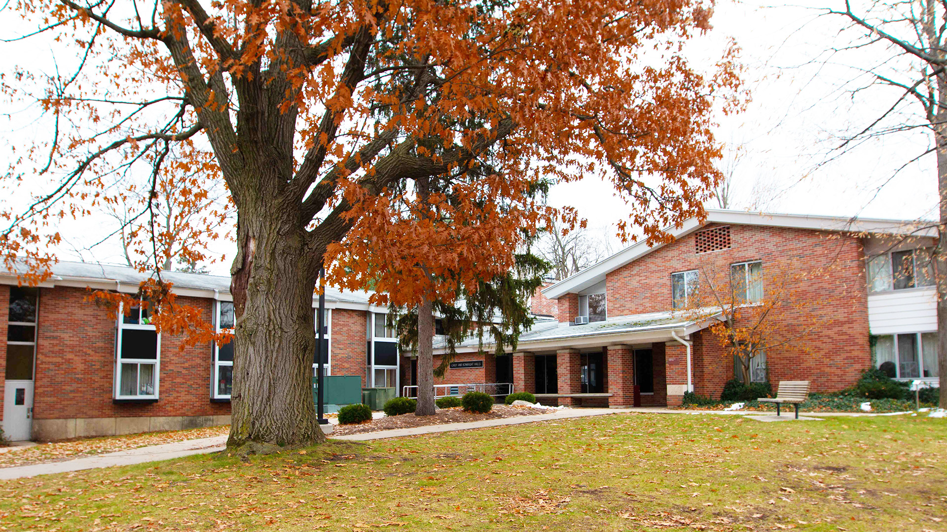 Exterior photograph of Carey and Bonbright Halls on Alma Colle's Campus.